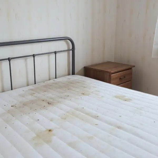 Химчистка матраса в квартире - до уборки